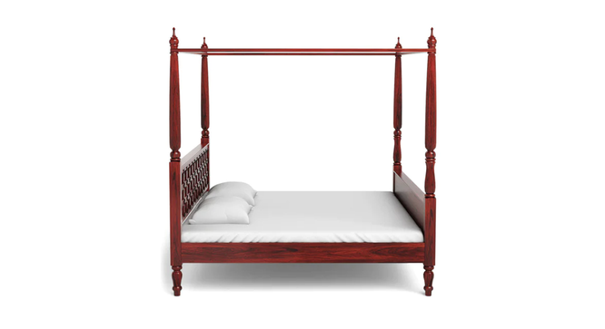 Maitreyi Bed Without Storage (Queen Bed Size, HONEY Finish) by Urban Ladder - - 