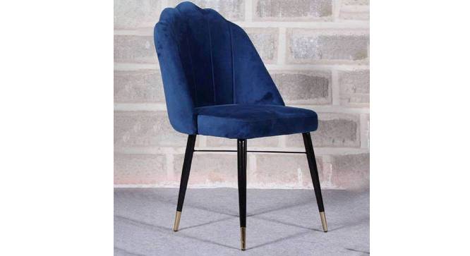 Ronin Accent Chairs (Blue) by Urban Ladder - - 