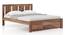 Durban Solid Wood Non Storage Queen Bed With Essential Foam Mattress (Teak Finish, Queen Bed Size, 78 x 60 in Mattress Size) by Urban Ladder - Storage Image - 802934