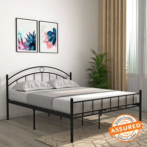 Iron Bed Design Arnold Metal Queen Size Bed in Black Finish