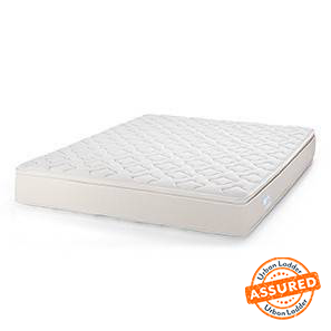 Cloud Eurotop Pocket Spring Mattress with Latex