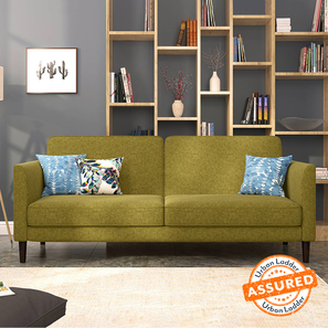 Felicity sofa cum bed color olivia green lp