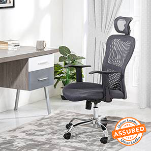 Ergonomic Study Chairs Design Venturi Study Chair in Ash Grey Colour