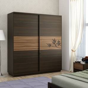 Wardrobes In Mysuru Design Maple Engineered Wood 2 Door Wardrobe in Matte Finish