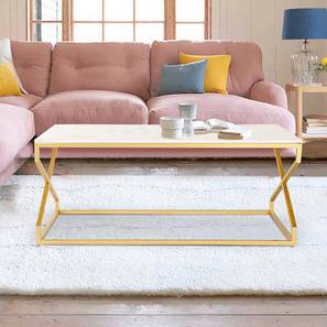 claymint Melbourne Rectangular Metal Coffee Table in Powder Coating Finish-picture-15