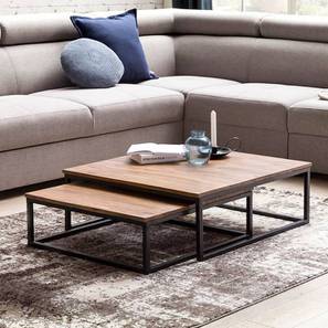 the home dekor Alan Square Solid Wood Coffee Table in Melamine Finish-picture-47