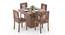 Julian 4 Seater Dining Table with Set of Capra Dining Chairs in Teak Finish (Teak Finish) by Urban Ladder - Front View Design 1 - 810629