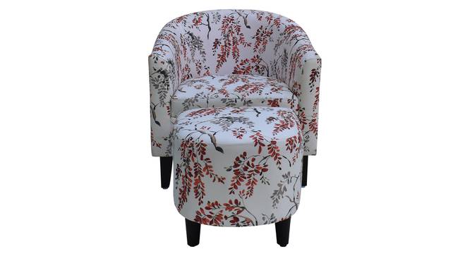 Valencia Accent Chair With Ottoman & Cushion - Blue (White) by Urban Ladder - - 