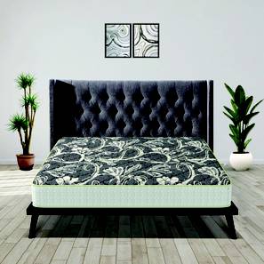 Sleepspa Mattress Design Health Plus Plus Active Orthopaedic Single Size Coir Mattress (Single, 5 in Mattress Thickness (in Inches), 72 x 30 in Mattress Size)