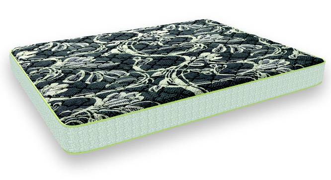 Health Plus Plus Active Orthopaedic Single Size Coir Mattress (Single, 5 in Mattress Thickness (in Inches), 72 x 30 in Mattress Size) by Urban Ladder - - 