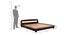 Bardot Queen Size Bed Without Stotage (Walnut Finish, Queen Bed Size) by Urban Ladder - Design 1 Dimension - 817658