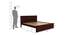 Venturi Queen Size Bed Without Stotage (Walnut Finish, Queen Bed Size) by Urban Ladder - Design 1 Dimension - 817661