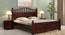 Axis King Sizebed Without Stotage (Walnut Finish, King Bed Size) by Urban Ladder - Front View Design 1 - 817673