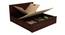 Meryl Queen Size With Drawer And Box Storage (Queen Bed Size, Brown Finish) by Urban Ladder - Ground View Design 1 - 817729