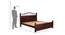 Axis King Sizebed Without Stotage (Walnut Finish, King Bed Size) by Urban Ladder - Design 1 Dimension - 817740