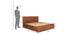 Murray Queen Size With Drawer And Box Storage (Queen Bed Size, Brown Finish) by Urban Ladder - Design 1 Dimension - 817744