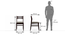 Arabia Leon Solid Wood 6 Seater Dining Table With Set Of 6 Chairs In Mahogany Finish (Mahogany Finish, Omega) by Urban Ladder - Dimension - 