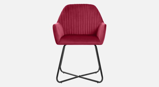 Chase Lounge chair with Black Star Steel Legs in Maroon Color (Red) by Urban Ladder - Design 1 Side View - 819385