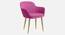 Gia Lounge chair with Golden Steel Legs in Orange Color (Pink) by Urban Ladder - Front View Design 1 - 819436