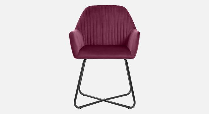 Chase Lounge chair with Black Star Steel Legs in Maroon Color (Maroon) by Urban Ladder - Design 1 Side View - 819503