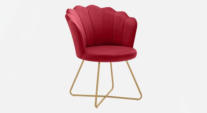 Fiona Lounge chair with Golden  Steel Legs in Maroon Color (Red) by Urban Ladder - Front View Design 1 - 819558