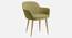 Gia Lounge chair with Golden Steel Legs in Orange Color (Green) by Urban Ladder - Front View Design 1 - 819680