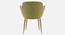 Gia Lounge chair with Golden Steel Legs in Orange Color (Green) by Urban Ladder - Ground View Design 1 - 819699