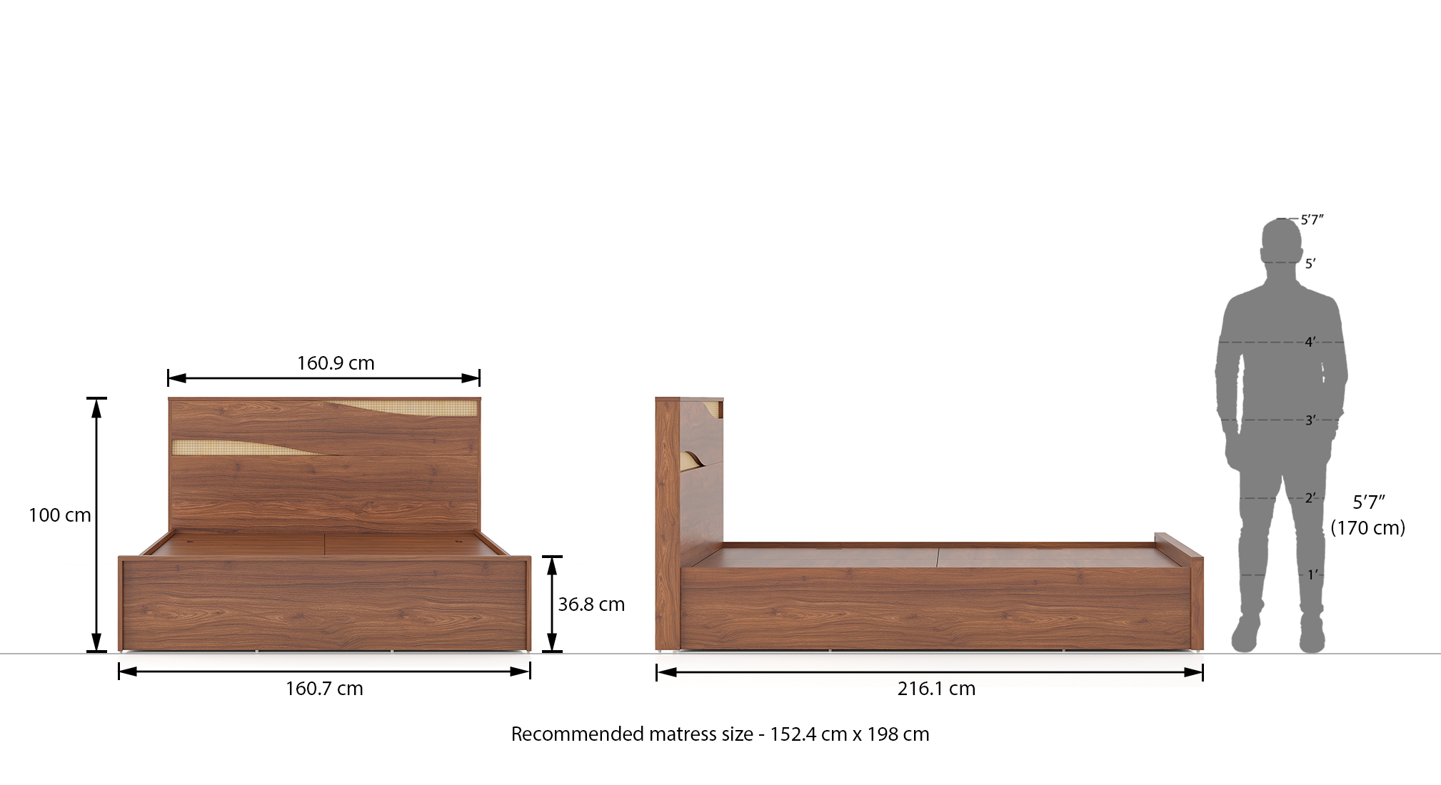 Karya Engineered Wood Queen Size Box Storage Bed in Wheat Brown Walnut
