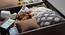 Bed ES | Engineered Wood King Size Bed with Box Storage (Chestnut Dark) (King Bed Size, Chestnut Dark Finish) by Urban Ladder - Ground View Design 1 - 822648