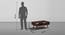 Peep - Solid Sheesham Wood Rectangular Coffee Table / Center Table with Storage (Provincial Teak Finish) (PROVINCIAL TEAK Finish) by Urban Ladder - Dimension - 