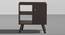 Bestie - Engineered Wood Bedside Table (2 Shelves & 1 Door, Dark Walnut & Slate Grey Finish) (Dark Walnut & Slate Grey Finish) by Urban Ladder - Front View - 