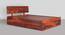 Bed GS | Premium Solid Sheesham Wood King Size Bed with Box Storage (Honey Brown) (King Bed Size, Honey Brown Finish) by Urban Ladder - Front View - 