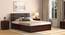 Stockholm Storage Bed (Solid Wood) (Mahogany Finish, King Bed Size, Box Storage Type) by Urban Ladder - Full View - 
