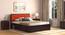 Florence Storage Bed (Solid Wood) (Mahogany Finish, Queen Bed Size, Lava, Drawer Storage Type) by Urban Ladder - Full View - 