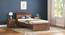 Macy non storage bed single - Classic Walnut (Single Bed Size, Classic Walnut Finish) by Urban Ladder - Side View - 
