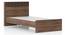 Macy non storage bed single - Classic Walnut (Single Bed Size, Classic Walnut Finish) by Urban Ladder - Storage Image - 