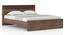 Macy non storage bed King - Classic Walnut (King Bed Size, Classic Walnut Finish) by Urban Ladder - Side View - 