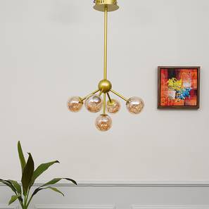 Chandeliers Design Cassia Metal Chandeliers (Gold)