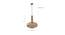 Ace Glass Hanging Lights (Gold) by Urban Ladder - Design 1 Storage Image - 824715