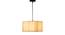 Pet Cotton Hanging Lights (White) by Urban Ladder - Design 1 Side View - 824905