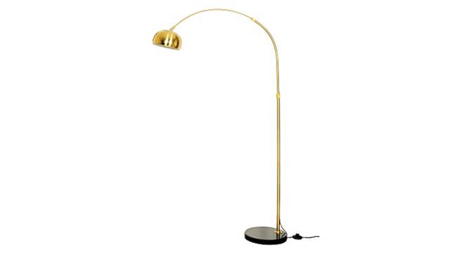 Dorah Metal Floor Lamps (multi-color) by Urban Ladder - Front View Design 1 - 825026