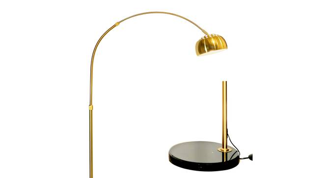 Dorah Metal Floor Lamps (multi-color) by Urban Ladder - Design 1 Side View - 825053