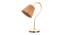 Regan Marble Study Lamps (multi-color) by Urban Ladder - Front View Design 1 - 825147