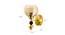 Presly Glass Wall Lamps (multi-color) by Urban Ladder - Design 1 Top Image - 826562