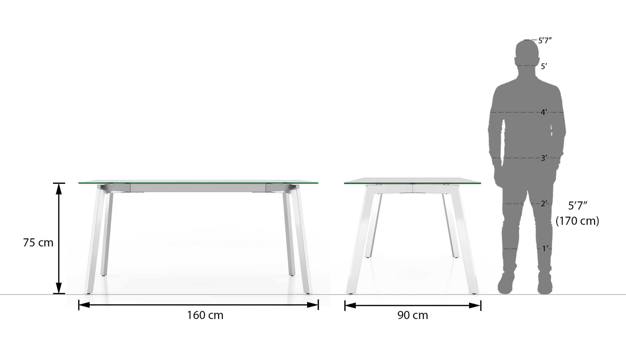 Carmen 6 Seater Glass Top Dining Table With Set of 6 Ingrid Dining
