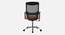 Sento Breathable Mesh Ergonomic Chair in Orange Colour (Orange) by Urban Ladder - Rear View Design 1 - 829428