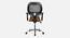 Vega Breathable Mesh Ergonomic ChairWithout Headrest  in Orange Colour (Orange) by Urban Ladder - Rear View Design 1 - 829445