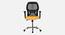 Viva Breathable Mesh Ergonomic Chair Without Headrest in Orange Colour (Yellow) by Urban Ladder - Front View Design 1 - 829538
