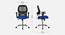 Viva Breathable Mesh Ergonomic Chair Without Headrest in Orange Colour (Blue) by Urban Ladder - Design 1 Dimension - 829644