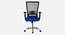 Mica Breathable Mesh Ergonomic Chair in Orange Colour (Blue) by Urban Ladder - Front View Design 1 - 829747